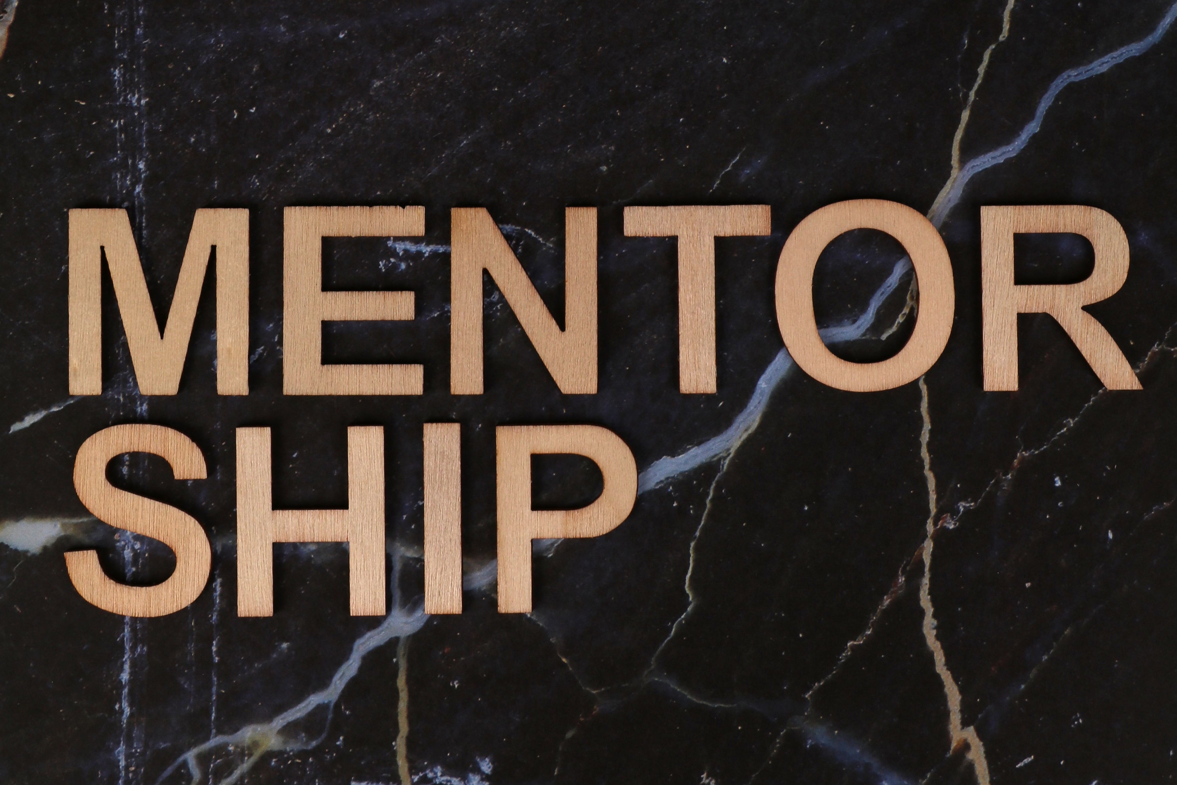 Strategic Mentorship and Growth Advisory, Finchase Capital